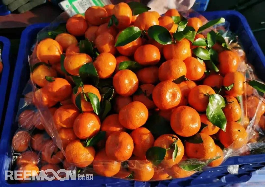 1639708609898611.jpg 3.jpg