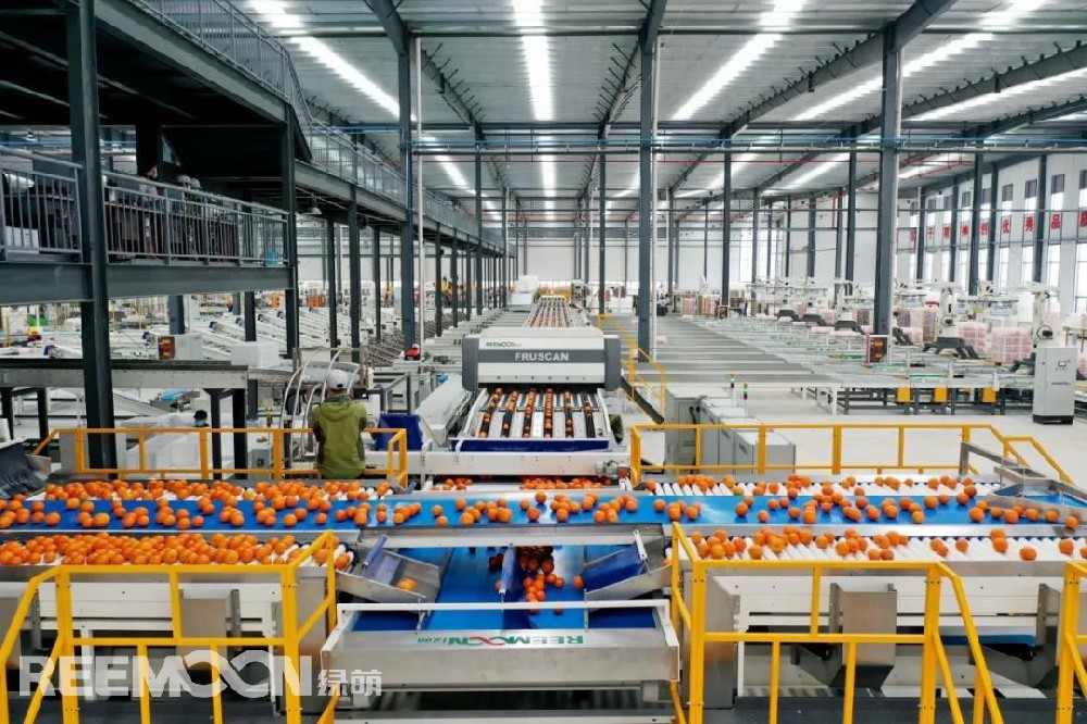 一個好的水果的評價標(biāo)準(zhǔn)是什么？作為消費者來說，品質(zhì)、口感、外觀三者缺一不可。但單憑自己的判斷難以挑選到比較好的水果。有人調(diào)研發(fā)現(xiàn)，國內(nèi)市場其實有很多品質(zhì)好、口感好、外觀好的水果，但經(jīng)常分散在品質(zhì)不好、口感不佳的水果中。可能就會造成這樣一種局面，買同一種水果，消費者今天買到的水果是甜的，但之后買