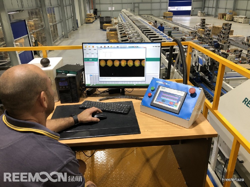 泰國(guó)的山竹、越南的荔枝、菲律賓的牛油果、韓國(guó)的小番茄……江西綠萌科技控股有限公司（下稱“江西綠萌”）的分揀設(shè)備，隨著中國(guó)RCEP貿(mào)易協(xié)定的生效，在海外農(nóng)場(chǎng)主的“朋友圈”刷屏。綠萌設(shè)備在智利獼猴桃上應(yīng)用效果顯著中國(guó)分選設(shè)備熱銷海外在菲律賓棉蘭老島，這里是牛油果種植樂園。都樂作為向中國(guó)市場(chǎng)輸入菲律賓牛油果的