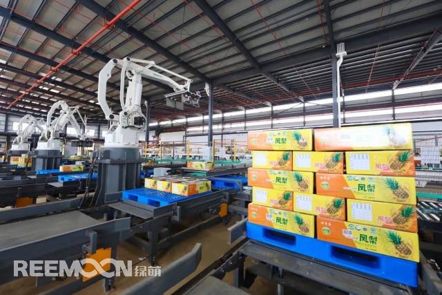 1646989026209762.jpg 6.jpg