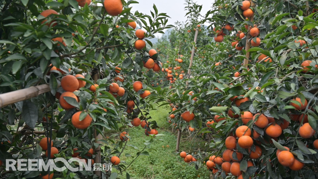 1648455644159126.png 640.png