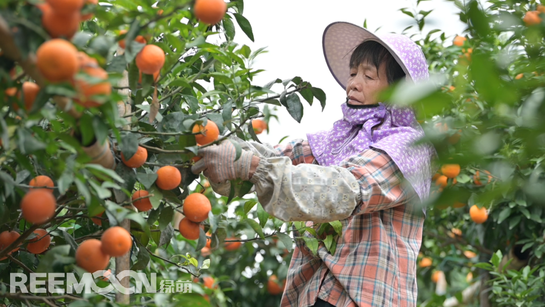 1648455683197450.png 640 (1).png