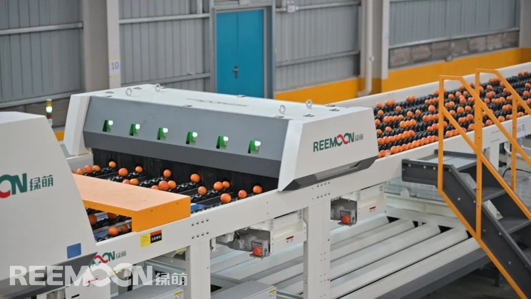 1648456006186972.jpg 微信圖片_20220328162626.jpg