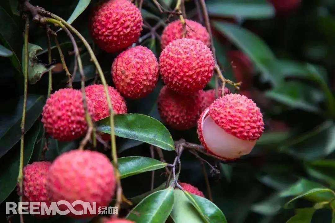 1652516017885083.jpg 2.jpg