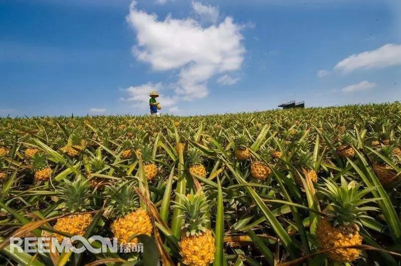 1652516067151150.jpg 3.jpg