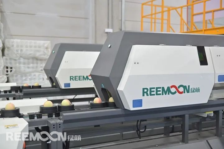 今年的水蜜桃市場(chǎng)行情很好，同期增長20%…….奉化“歡喜奉桃”品牌運(yùn)營方奉化農(nóng)商發(fā)展集團(tuán)市場(chǎng)部經(jīng)理陳盼笑意盈盈地說道。浙江省寧波市奉化區(qū)的水蜜桃種植面積有約5萬畝，其中6000余畝優(yōu)質(zhì)產(chǎn)區(qū)作為“歡喜奉桃”指定合作基地。面對(duì)水蜜桃產(chǎn)業(yè)競爭日趨白熱化，奉化水蜜桃經(jīng)營薄弱、品牌渠道混亂的短板越發(fā)凸顯，尤其是面對(duì)桃子