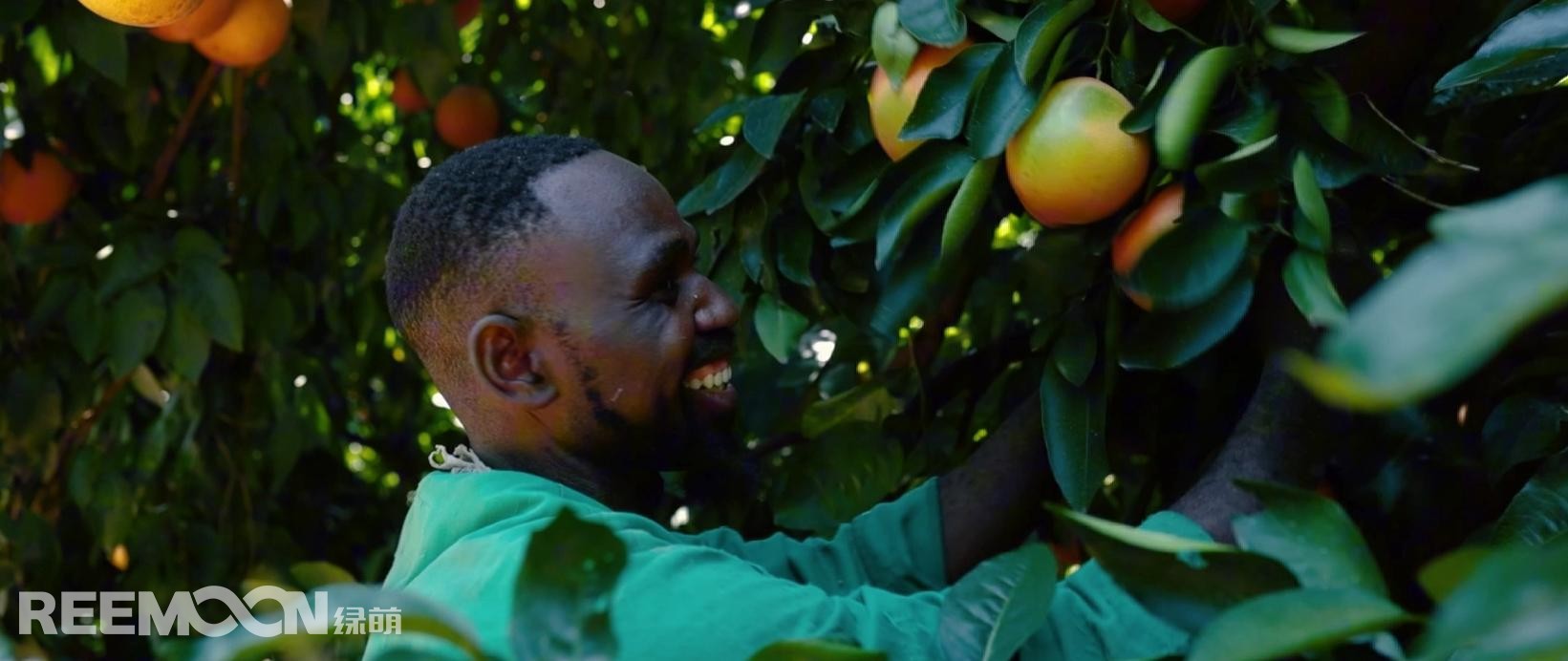 1689153931172932.jpg 圖片3.jpg