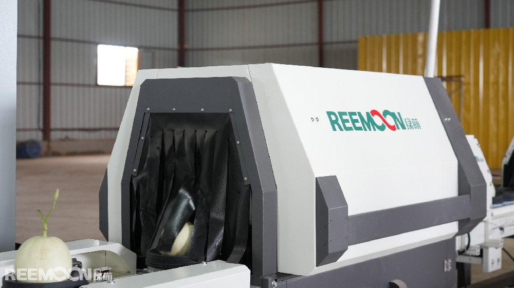 仲夏時(shí)節(jié)，花香四溢，瓜果飄香。這一場(chǎng)景不是在雨水充沛的南方或是土壤肥沃的東北，而是茫茫大戈壁之中，這里就是甘肅省玉門(mén)市玉瓏種植農(nóng)民專(zhuān)業(yè)合作社的種植基地。每年超過(guò)24000噸的優(yōu)質(zhì)蜜瓜從這里種植生產(chǎn)出來(lái)，銷(xiāo)往北京、上海、杭州、廣州、長(zhǎng)沙、武漢、南昌等全國(guó)20多個(gè)省區(qū)的核心城市。玉門(mén)市玉