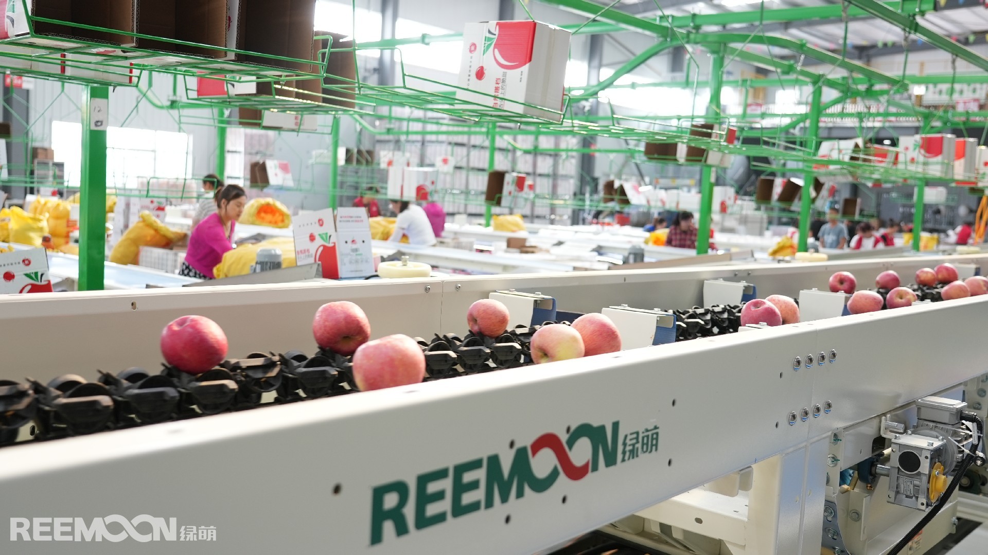 1691139989819179.jpg 4.JPG