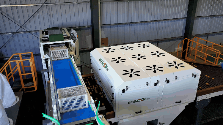 1691745591112155.gif 翻箱倒果.gif