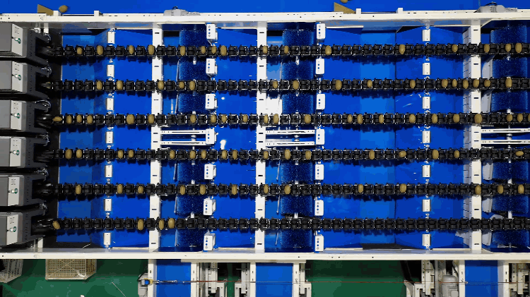 1691745626103785.gif 定量裝箱.gif