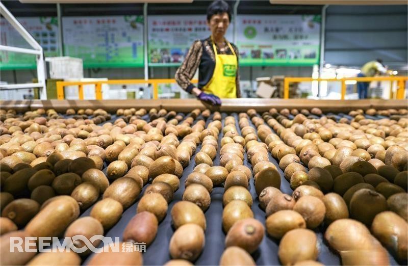 1694505932127163.jpg 7 - 副本.jpg