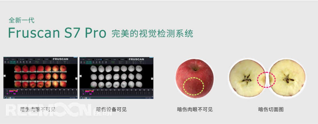 1698984154208279.png 視覺系統(tǒng) - 副本.png