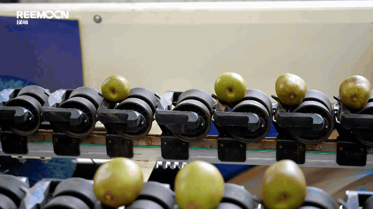 1700122120190044.gif 定量裝箱.gif