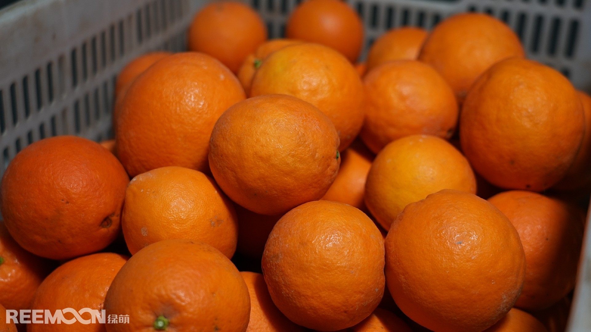 1705310016166964.jpg DSC07235.JPG