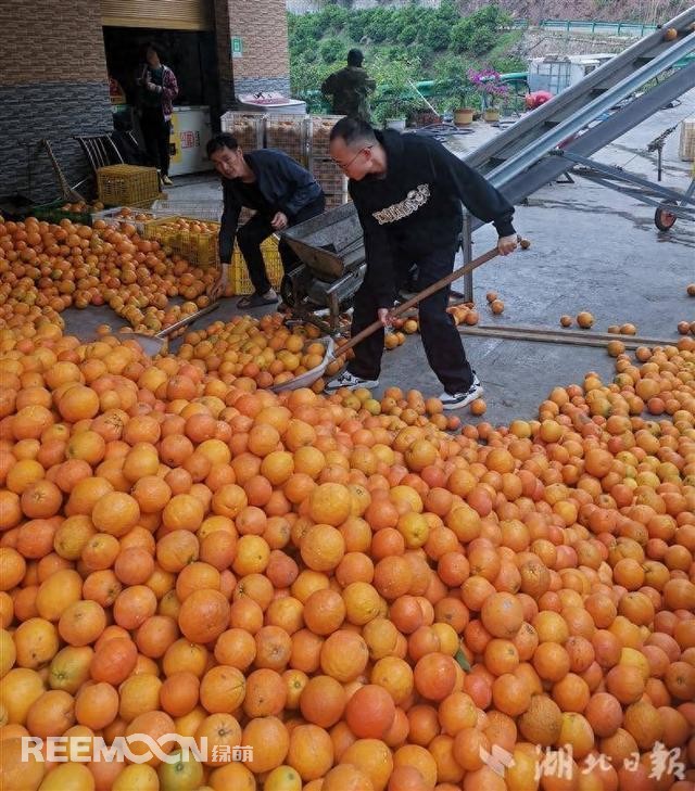 1715302902108313.jpg 秭歸1.jpg