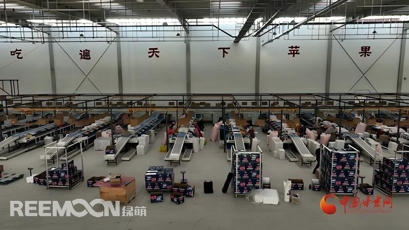 “這個(gè)綠萌‘呵福式’智能四通道一體自動(dòng)化分揀包裝生產(chǎn)線剛安裝上就投入使用，高效便捷。幫我們完成對(duì)尼泊爾出口的300噸蘋(píng)果分揀包裝?！膘o寧蘋(píng)果產(chǎn)地冷鏈物流園運(yùn)營(yíng)團(tuán)隊(duì)負(fù)責(zé)人孫杰錕在剛剛建成投入使用的分選車間邊忙向記者解說(shuō)。“目前就分揀車間創(chuàng)造就業(yè)崗位三百多個(gè)，其中包裝工約300人、檢果工50人、裝卸工20人，為周