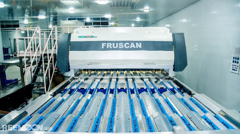 近年來，藍莓因其豐富的營養(yǎng)價值和健康屬性，成為全球消費市場的“超級水果”之一。全球藍莓需求不斷增長，產(chǎn)業(yè)迎來高速發(fā)展階段，但分選效率低、標準化程度不足等問題卻成為制約產(chǎn)業(yè)升級的痛點。如何讓每一顆藍莓以最佳狀態(tài)走向市場？綠萌推出的藍莓AI智能分選設(shè)備，正以顛覆性技術(shù)為產(chǎn)業(yè)注入新動能，助力企業(yè)發(fā)展！01.以A