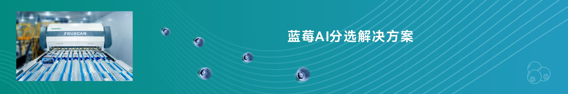 讓您的水果表里如一