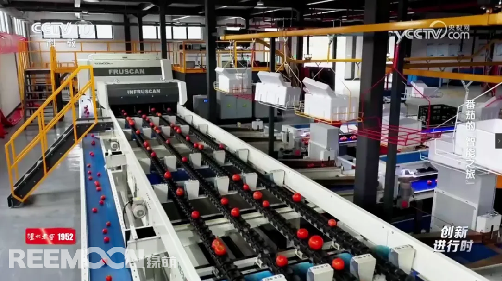 3月11日CCTV10科教頻道《創(chuàng)新進行時》欄目重磅播出專題片《番茄的“智能之旅”》深度報道位于溫州市蒼南縣番茄分揀中心的綠萌四通道AI分選線這條集重量分級、外觀色澤瑕疵識別內(nèi)部品質(zhì)無損檢測于一體的AI分選線以高效精準(zhǔn)的采后處理流程揭示了現(xiàn)代農(nóng)業(yè)的“科技含量”讓我們跟隨央視鏡頭，一探究竟！