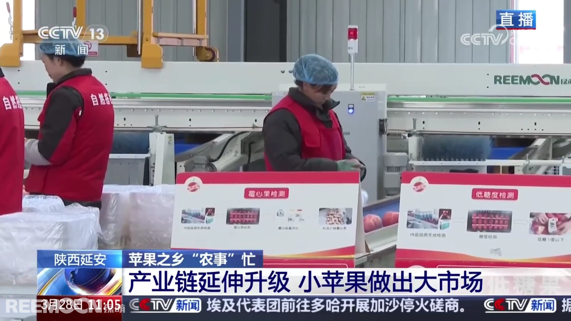 1743499304176414.png 0e12abd5c6c7c62363d7e8d2c1b6794.png