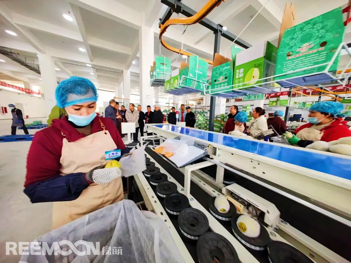 1744092457128757.jpg 1744079850433.jpg