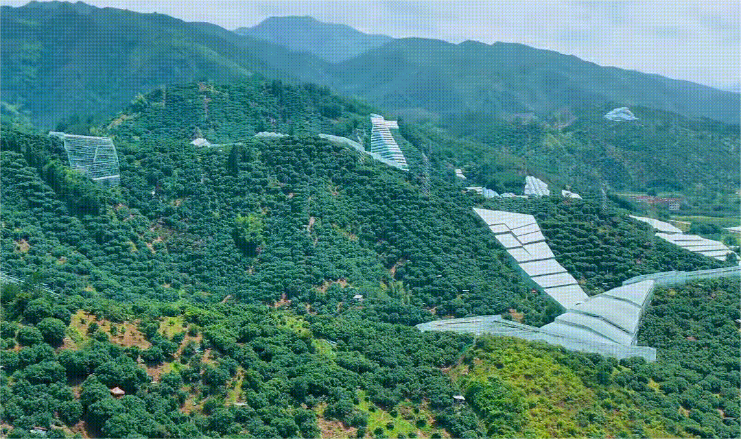 WPS動圖制作 - 副本.gif