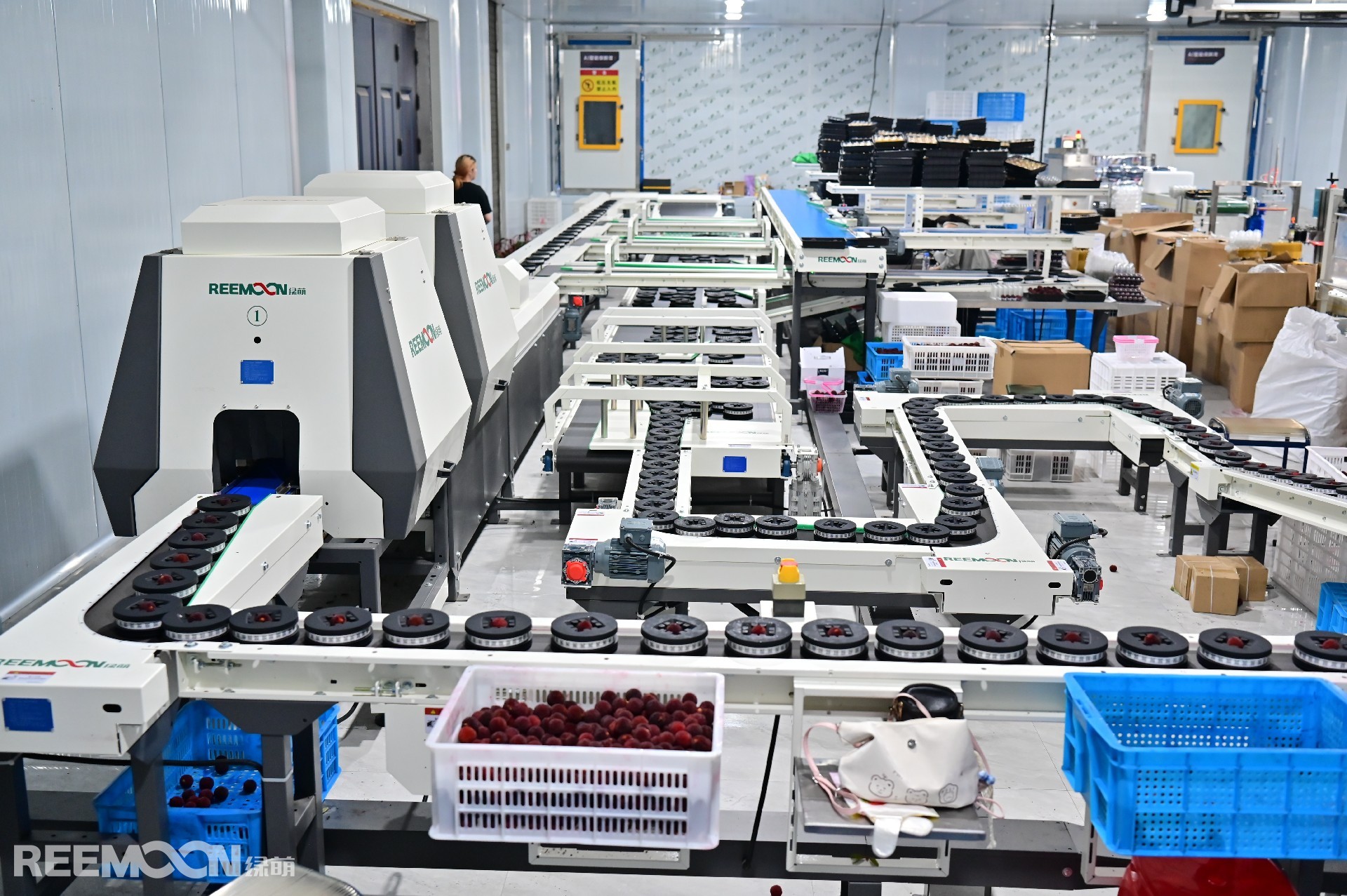 NZ6_2909(1) - 副本.JPG