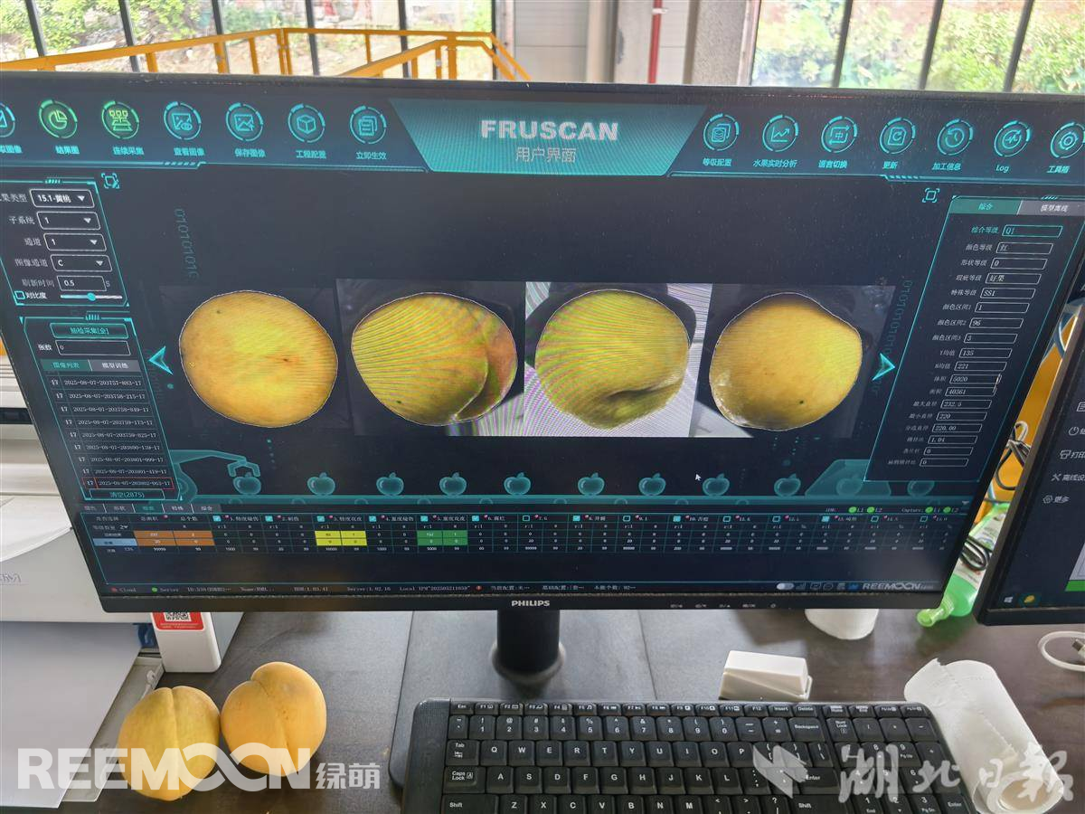 1755332983167148.jpg 1755325938878.jpg