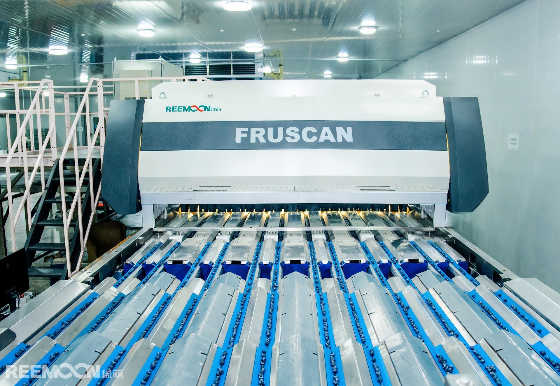 藍(lán)莓 - 副本.jpg