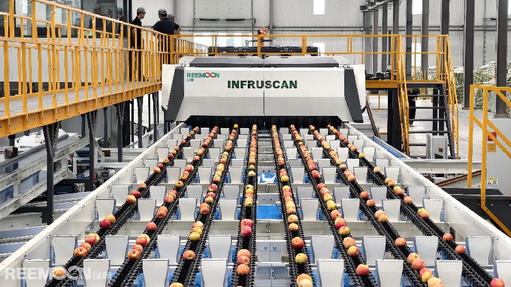 春華秋實，又是一年豐收季果園里，枝頭沉甸甸的果實凝結(jié)著農(nóng)人一年的辛勤與汗水采摘后的佳果如何與時間賽跑以最優(yōu)狀態(tài)“搶鮮”登陸市場這背后是一場效率與品質(zhì)的角逐而智能分選設(shè)備的出現(xiàn)給了我們答案▲綠萌智選 覆蓋60+果蔬品種01 走進果蔬AI分選時代傳統(tǒng)人工分選時期，依賴肉眼判別與手工操作，效