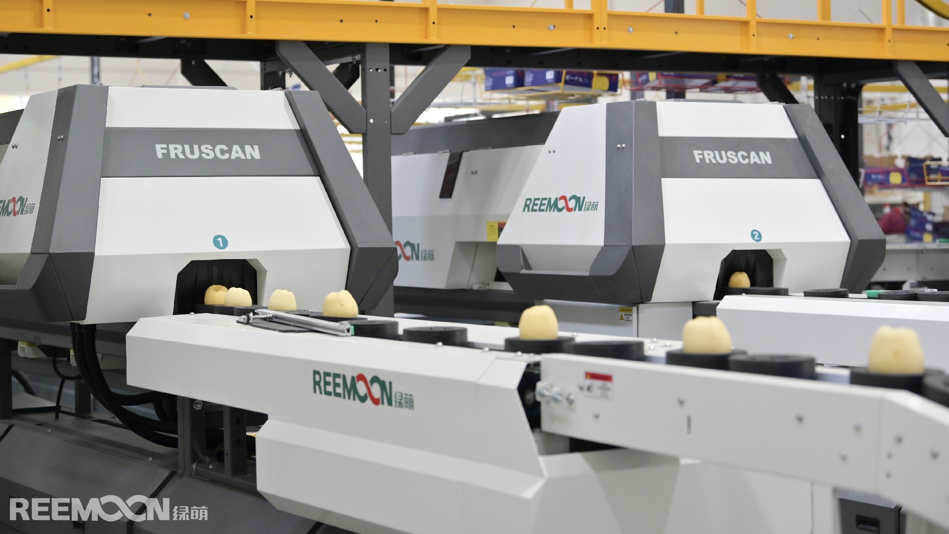 1764729261490135.jpg 蘋(píng)果呵福式.jpg