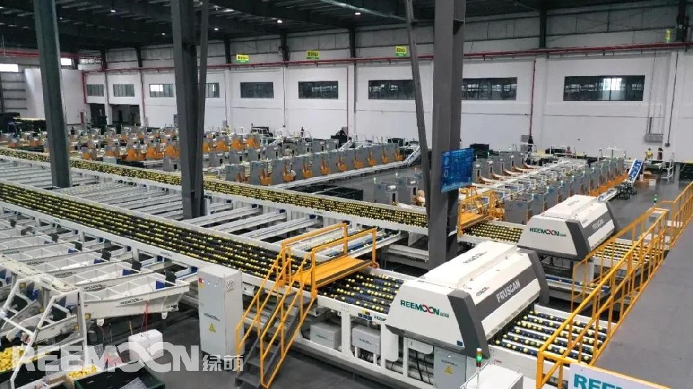 近日，蜜雪冰城湖北宜昌某門店因操作不規(guī)范陷入爭議。對此，蜜雪冰城回應(yīng)：涉事門店屬違規(guī)操作，總部要求鮮果現(xiàn)切現(xiàn)用、剩余廢棄。網(wǎng)友紛紛表示“這次原諒你，下次不許了”“退至我身后”“小雪用的居然是真檸檬，我更愛了”……在這場爭議中，越來越多網(wǎng)友開始關(guān)注一個核心問題：蜜雪冰城的檸檬到底是不是真材實料？雪王究