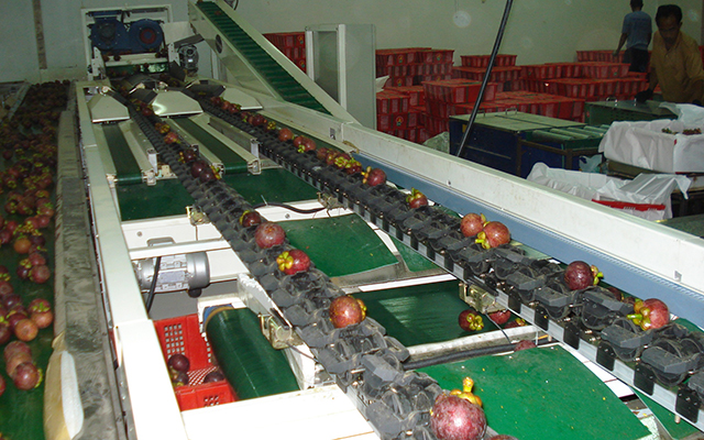 讓您的水果表里如一