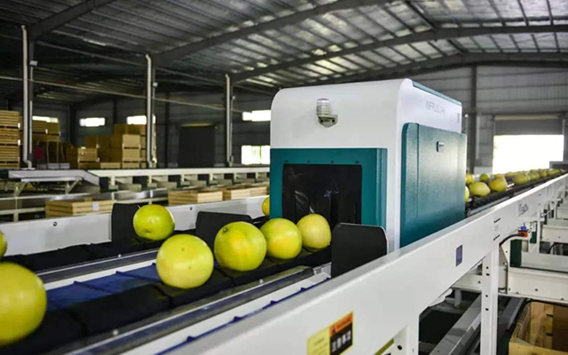 讓您的水果表里如一