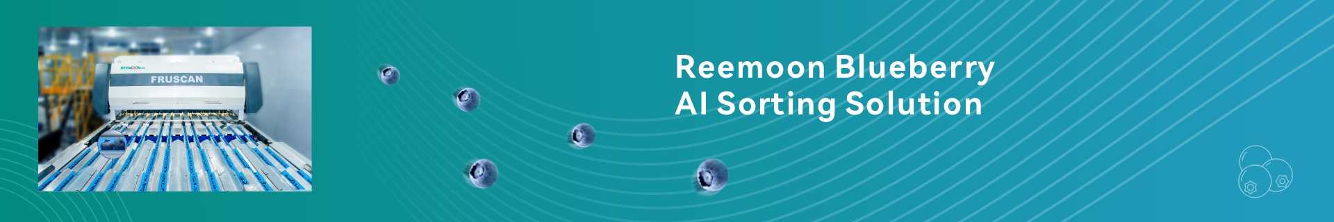 Adding value to your fruit by sort both internal and external quality